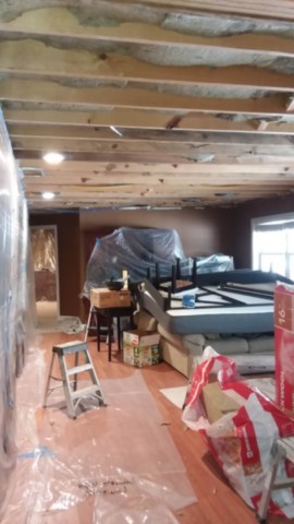 Basement Ceiling During